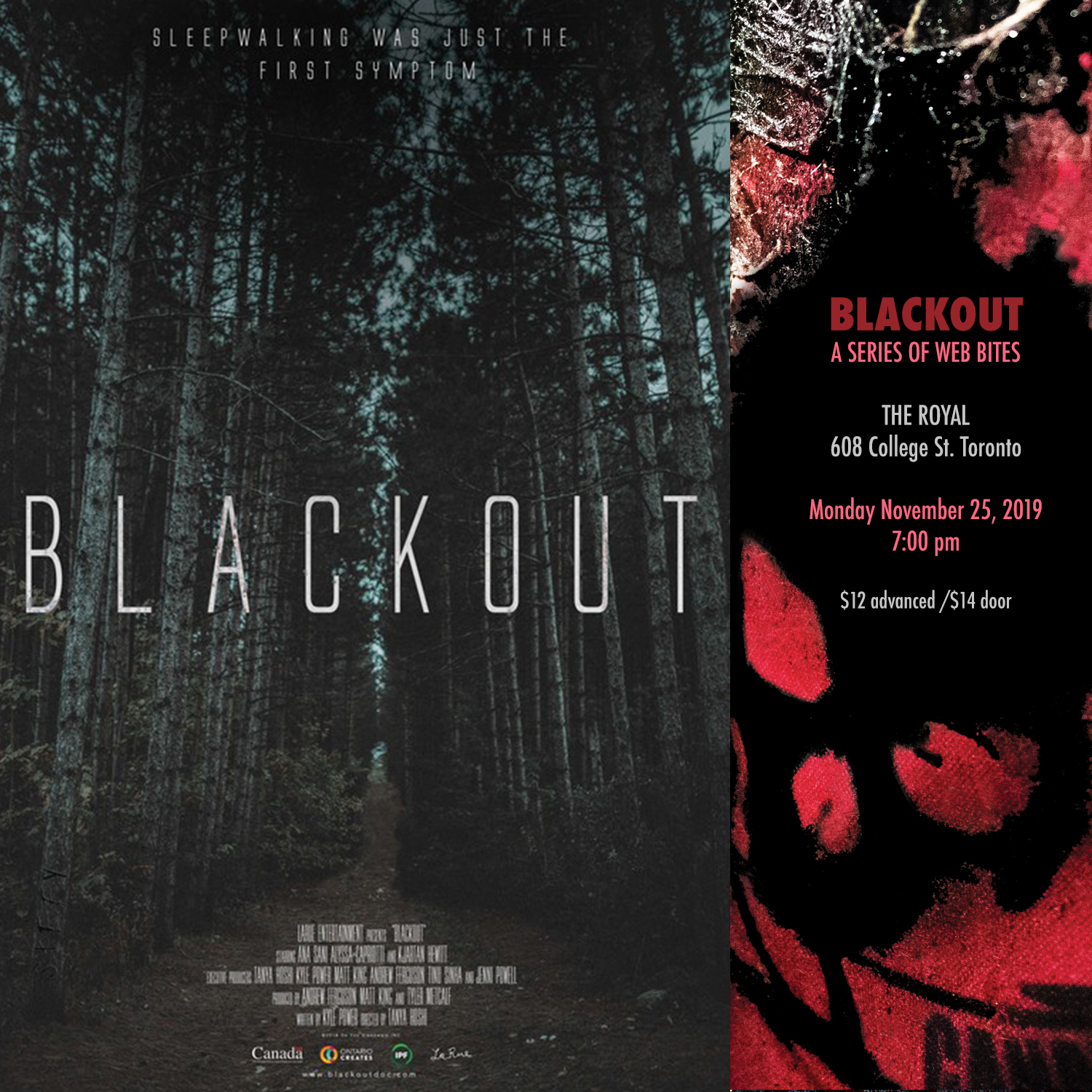 Black Out
