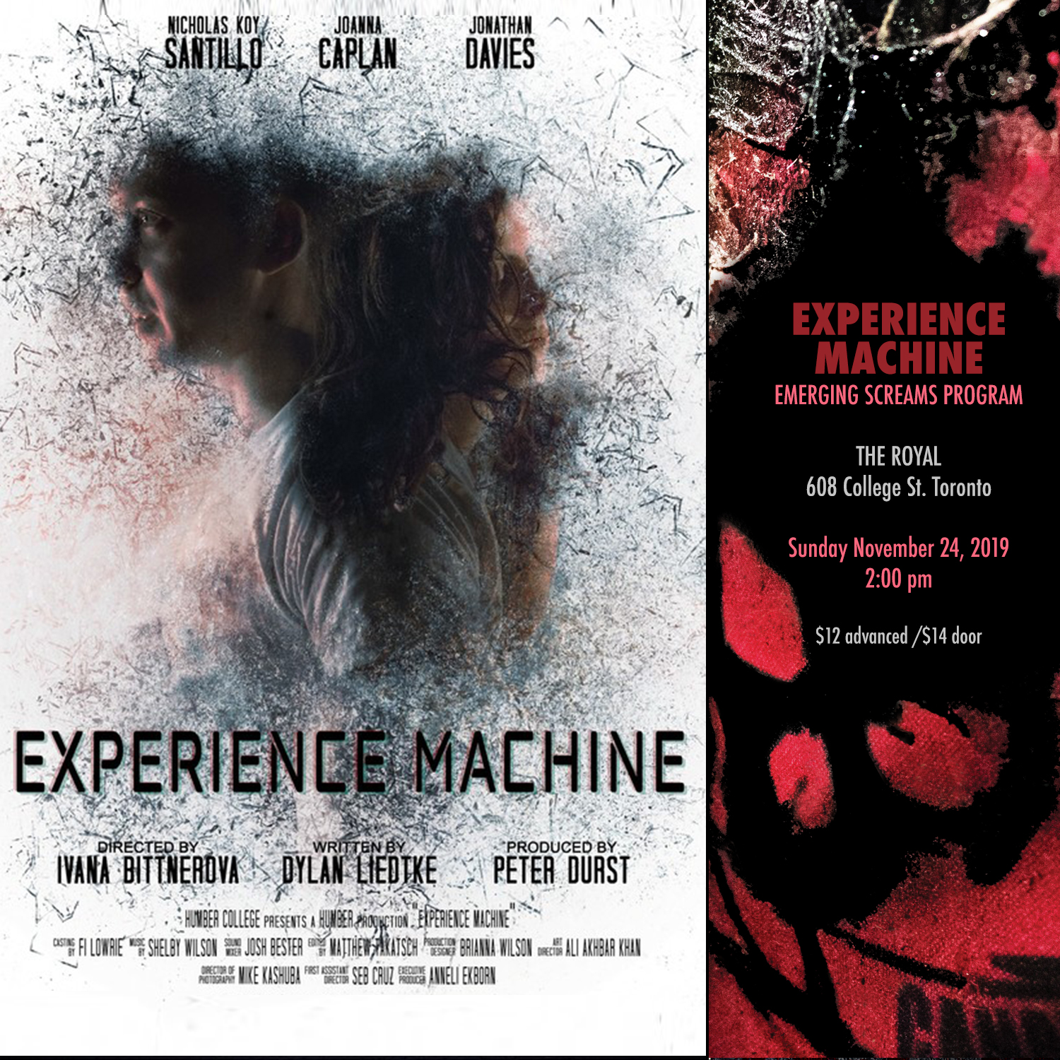 Experience Machine
