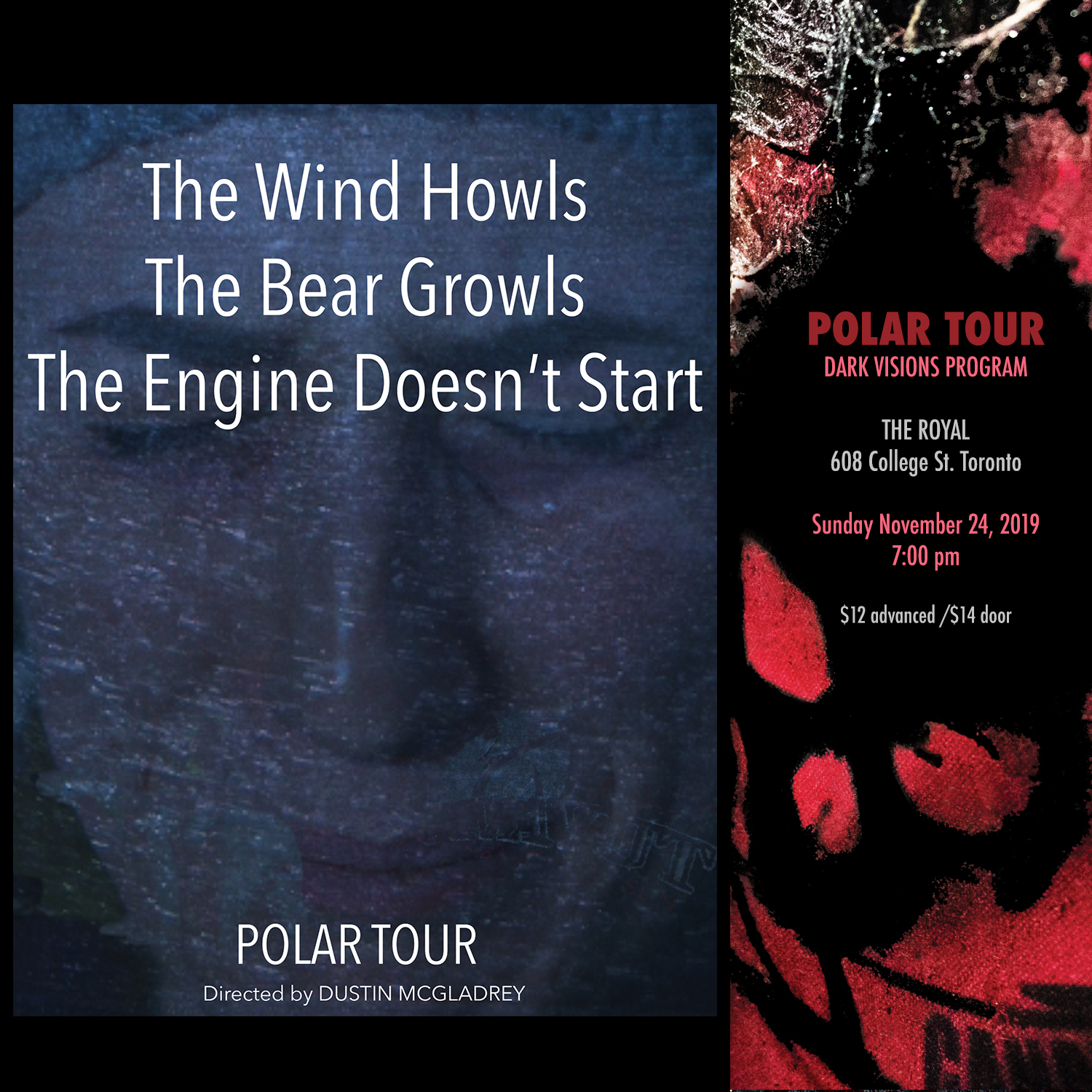 Polar Tour