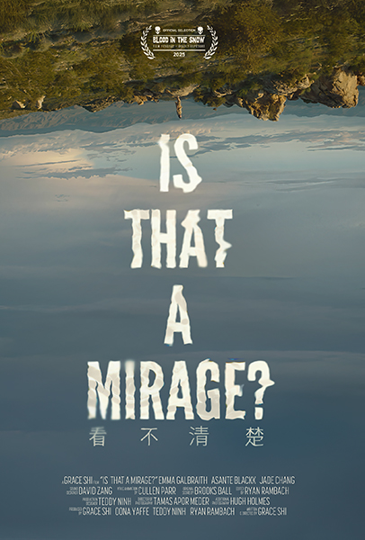 Is That a Mirage? poster