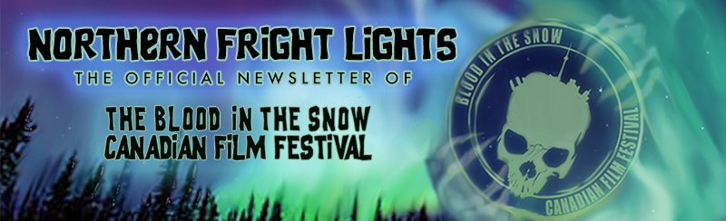 Northern Frights Newsletter logo, northern lights illustration